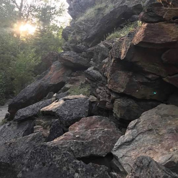 Meet your Posher, Ann - Picture 6 of 8